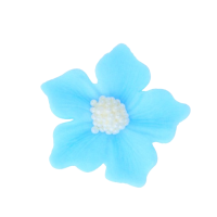 Pelargonie světle modrá