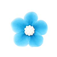 Pomněnka světle modrá