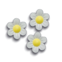 Vergissmeinnicht weiß 3,6 cm 1/70