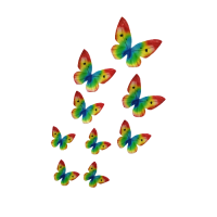 Oblátkový motýľ farebný - dúhový