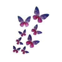 Oblátkový motýľ fialový