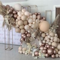 Garland balloons cream 167 pcs