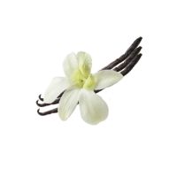 Vanilla flavoring paste 200g