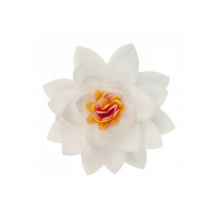 Oblátkový lotosový kvet biely
