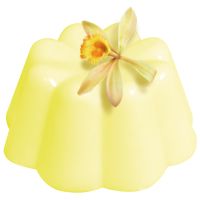 Pudding VANILLA Liana 1kg