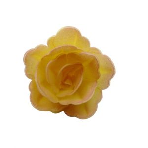 Oblátková ruža čínska malá čajová tieňovaná