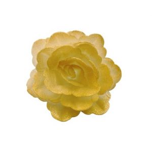 Oblátková ruža čínska stredná zlatá tieňovaná