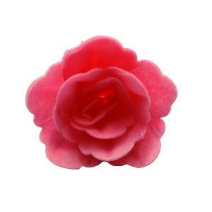 Oblátková ruža čínska malá ružová