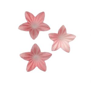 Oblátkový kvet mini ružový