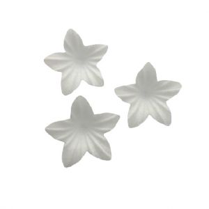 Oblátkový kvet mini biely