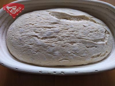 Gluten-free turbo bread without yeast