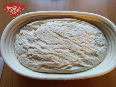 Gluten-free sourdough potato bread