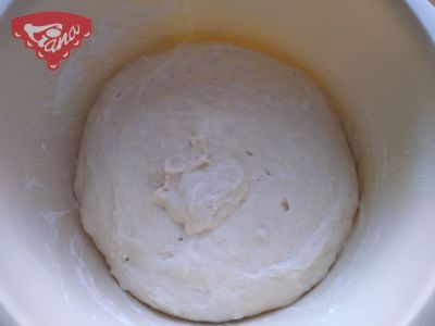 Gluten-free sourdough starter