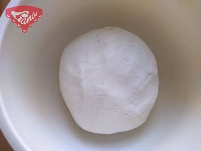 Gluten-free sourdough starter