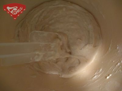 Gluten-free sourdough starter