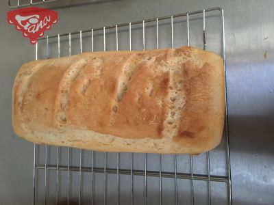 Gluten-free quick light bread baked in a mold