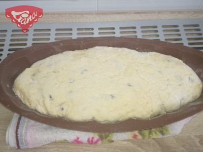 Gluten-free two-color Christmas cake in a form