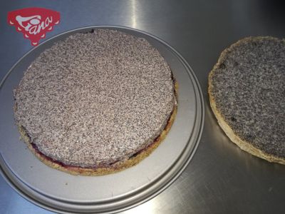 Flourless poppy seed cake