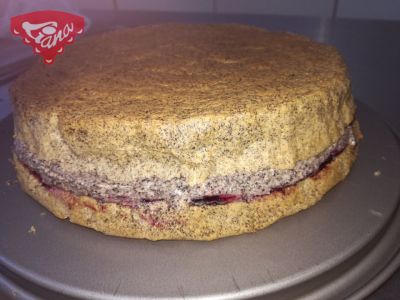 Mehlloser Mohnkuchen