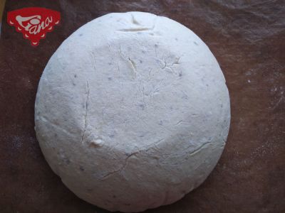 Gluten-free sourdough bread with kefir and honey