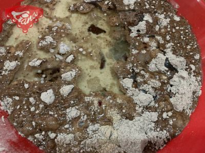 Zarter Lebkuchen mit exklusivem Pudding