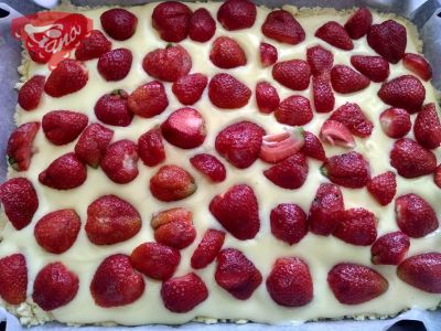 Gluten-free and dairy-free crumb cake (which even children can make)