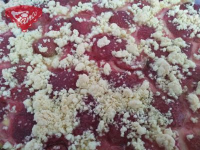 Gluten-free and dairy-free crumb cake (which even children can make)