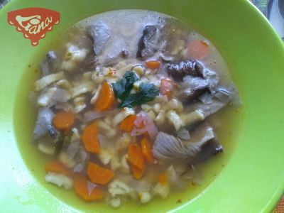 Gluten-free leaven for soup with sorghum flour