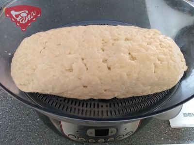Gluten-free burison dumpling