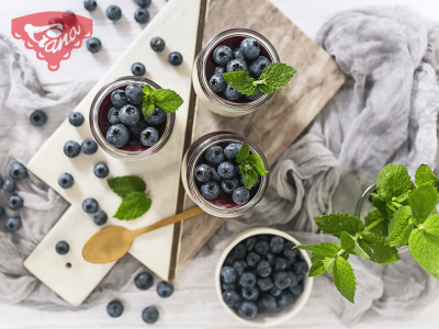 Čučoriedková panna cotta