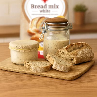 Gluten-free sourdough starter from Liana Bread Mix White