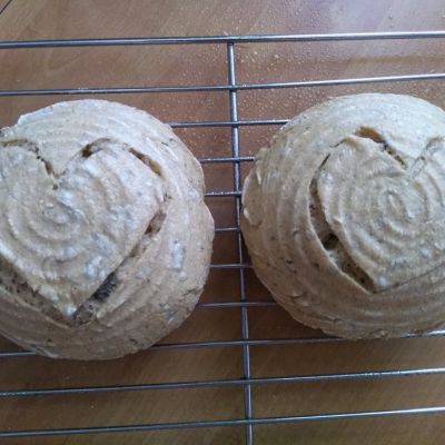 Gluten-free sourdough mini breads