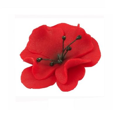 Kis vörös magnólia