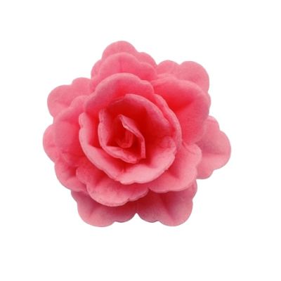 Ostyarózsa Kínai közepes rózsaszín