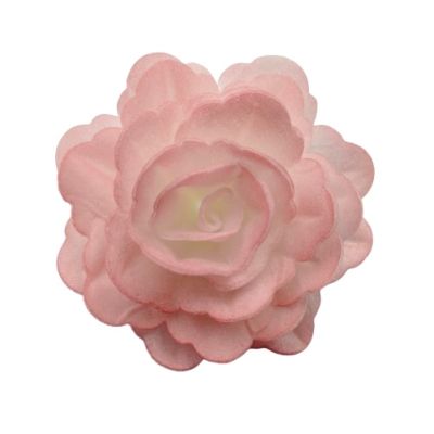 Ostya rózsa kínai nagy rózsaszín árnyalatú