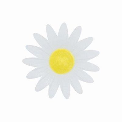 Fehér ostya százszorszép