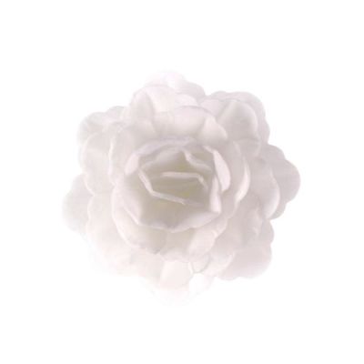 Ostya rózsa kínai nagy fehér