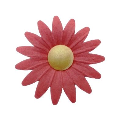 Ostya százszorszép piros