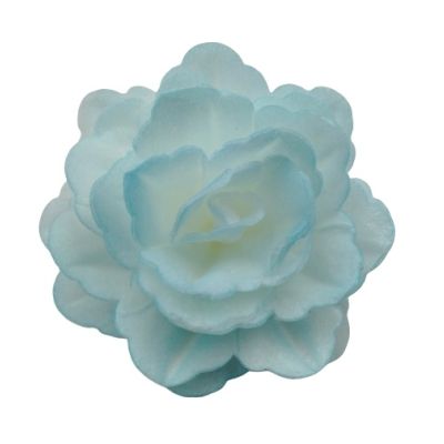 Ostya rózsa Kínai nagy kék árnyalatú