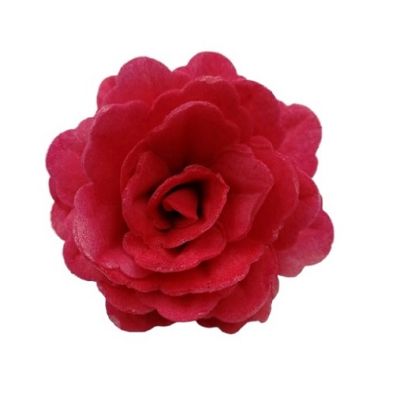 Ostya rózsa kínai nagy piros