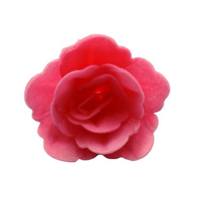 Ostya rózsa kínai kis rózsaszín