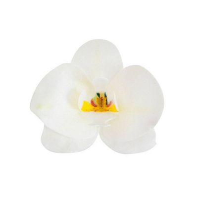 Ostya orchidea fehér