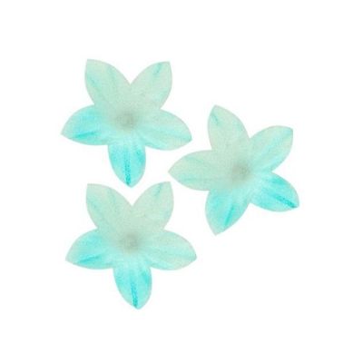 Ostya virág mini kék