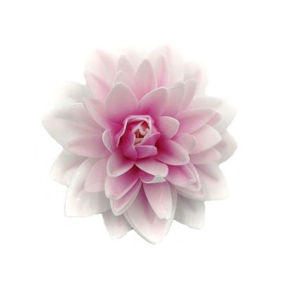 Wafer Dahlia maxi rózsaszín árnyalatú