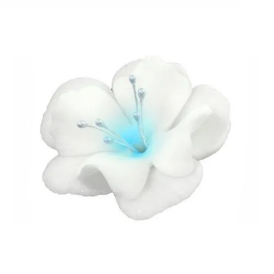 Kis fehér-kék magnólia