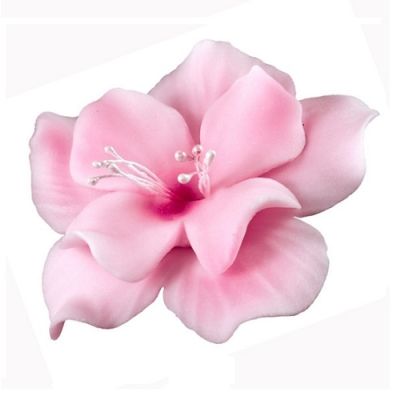 Világos rózsaszín magnólia