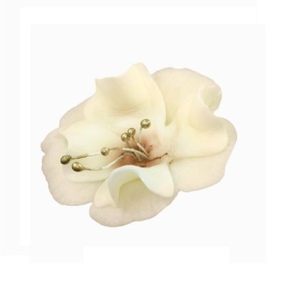 Kis krémes-csokis magnólia