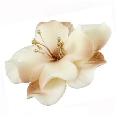 Krémes-csokis magnólia