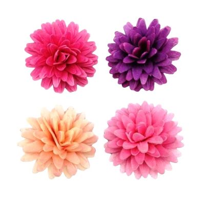 Százszorszép ostya pompon keverék