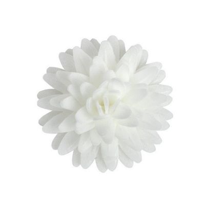 Ostya százszorszép pompon fehér